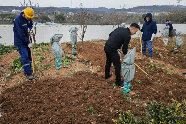 春雨潤沃野，不誤農(nóng)時不負(fù)春——南京海中組織開展義務(wù)種植勞動