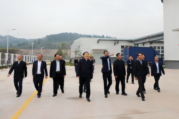 忠縣縣委書記李電一行蒞臨忠縣海螺環(huán)保調研督導重點項目建設