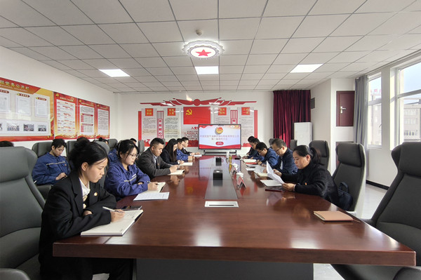 共青團(tuán)富平海螺環(huán)?？萍加邢挢?zé)任公司第一屆團(tuán)員大會(huì)圓滿召開
